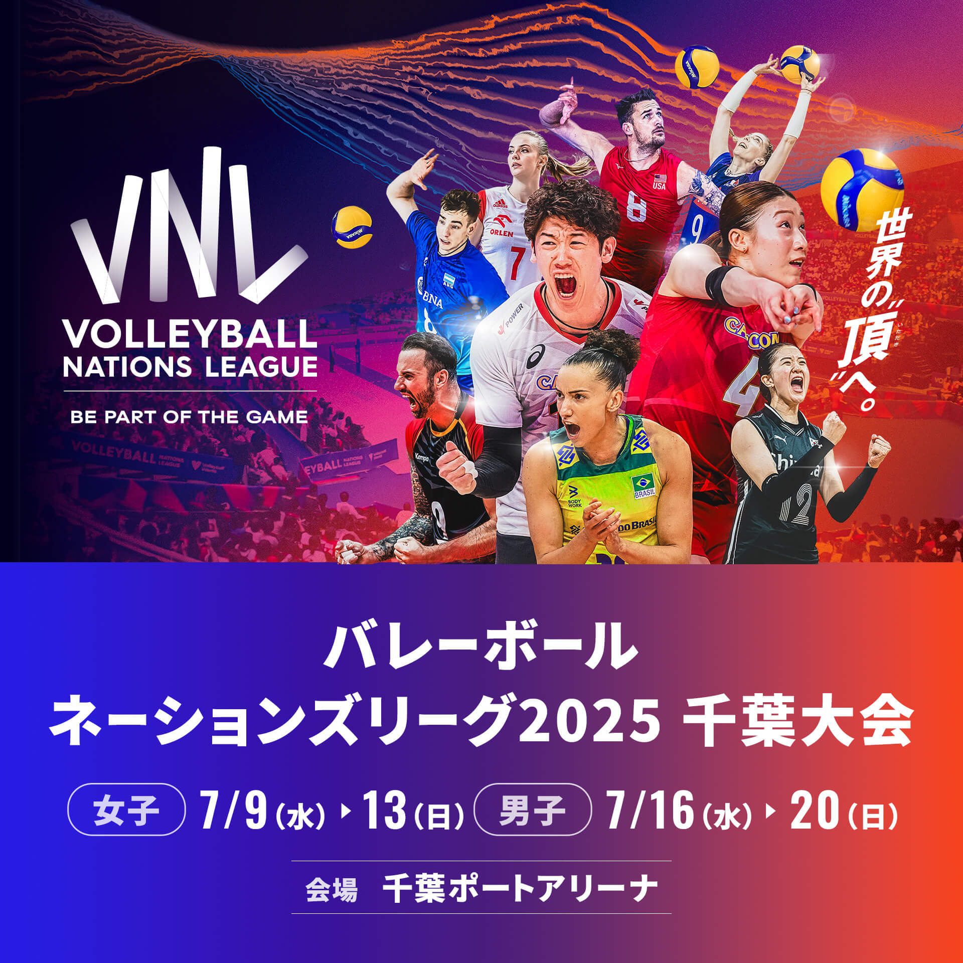 TEAM | バレーボールネーションズリーグ2025 千葉大会のチケット情報