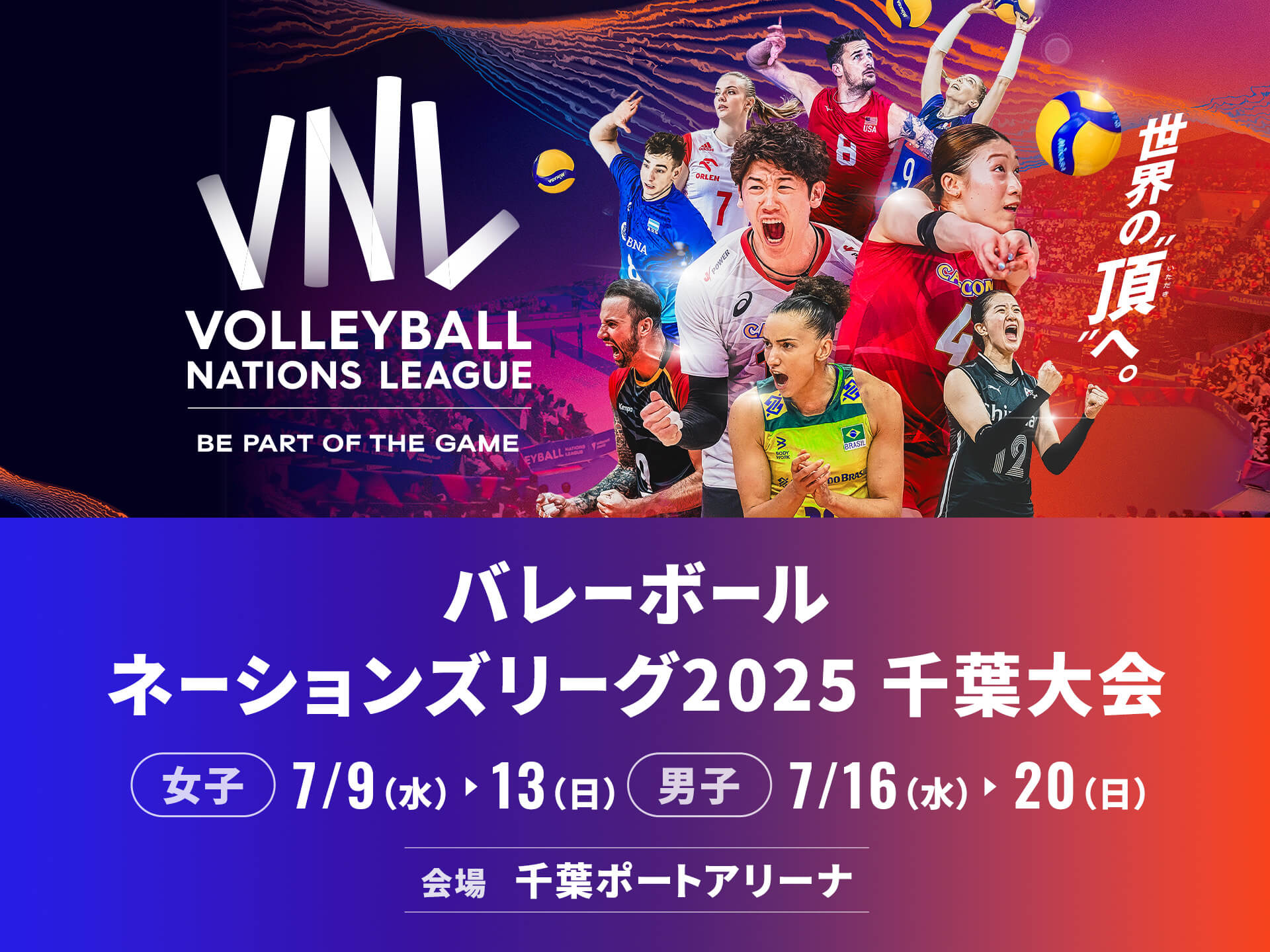 TEAM | バレーボールネーションズリーグ2025 千葉大会のチケット情報